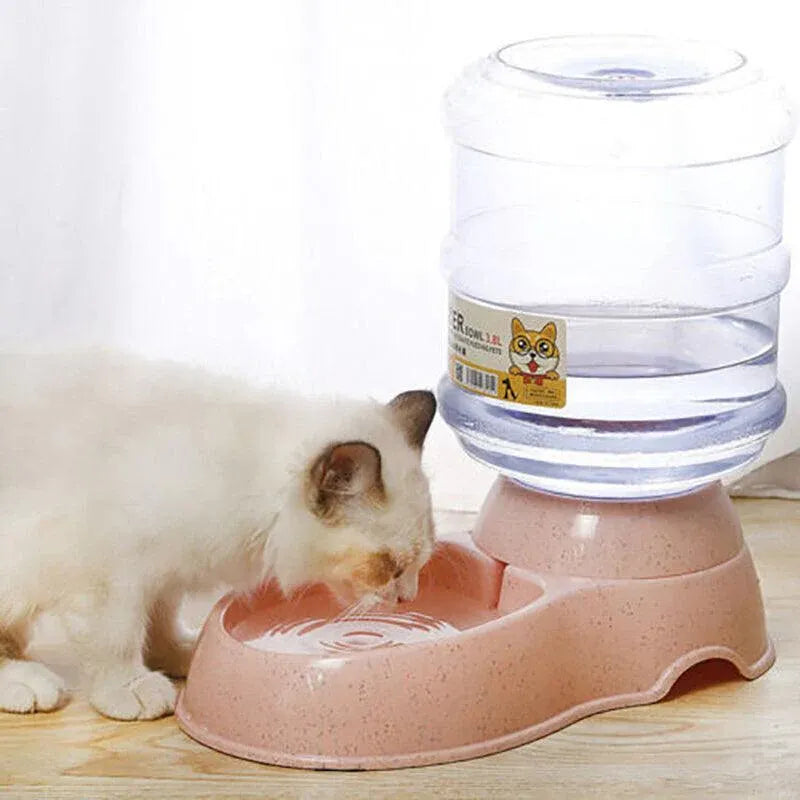 Gravity-Fed Pet Water Dispenser - 3.8 L, Grey