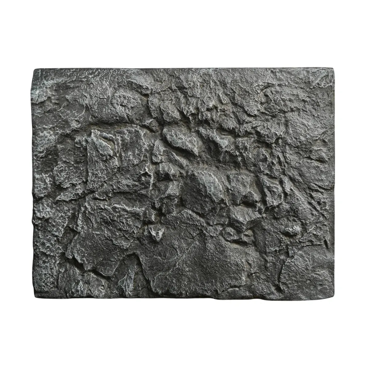 3D EPS Foam Reptile Background, Style E, 60 × 45 cm