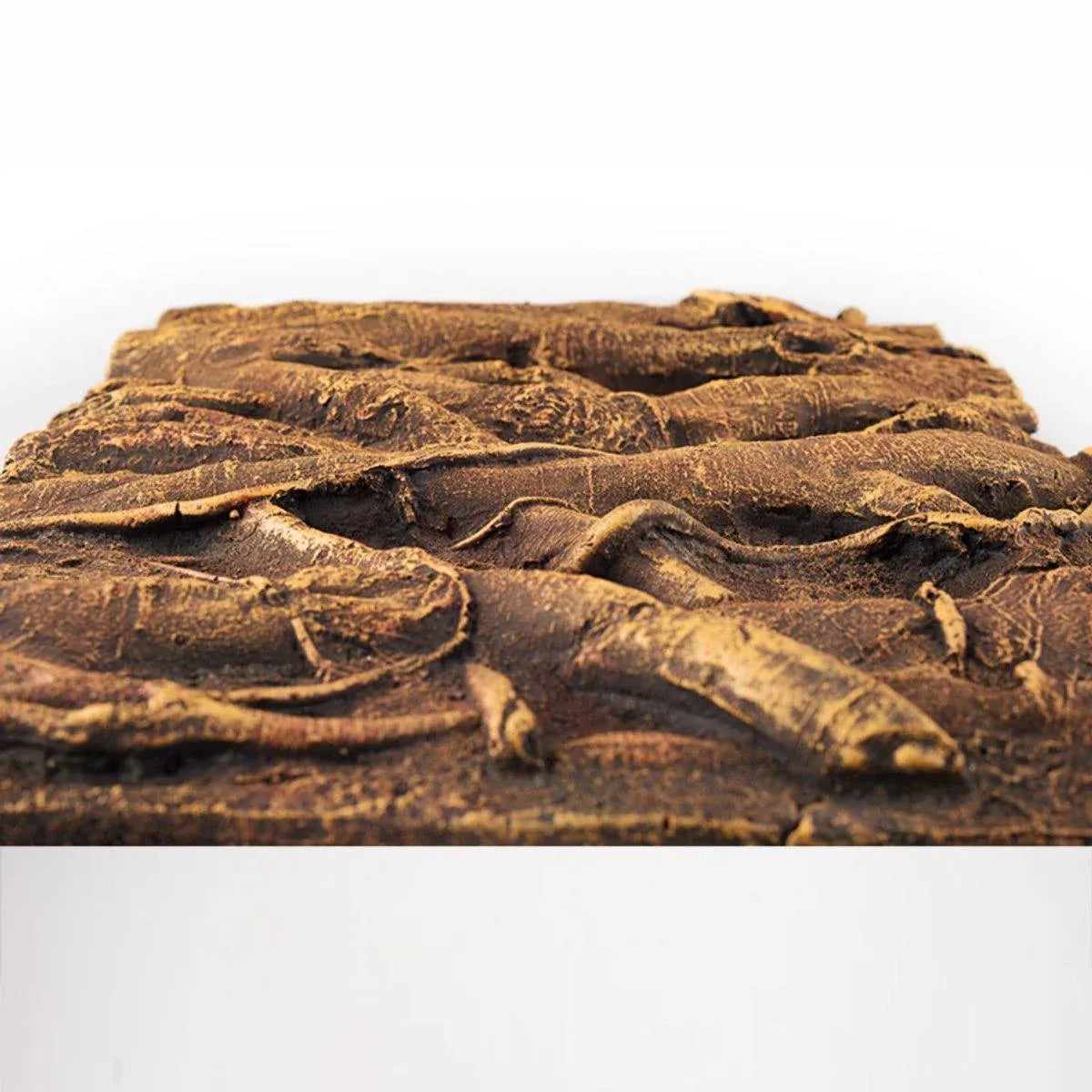 3D EPS Foam Reptile Background, Style E, 60 × 45 cm