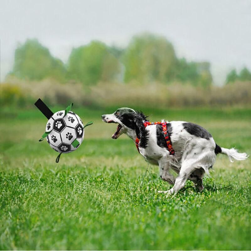 Inflatable Dog Football with Grab Tabs, 15 cm, Pump Included