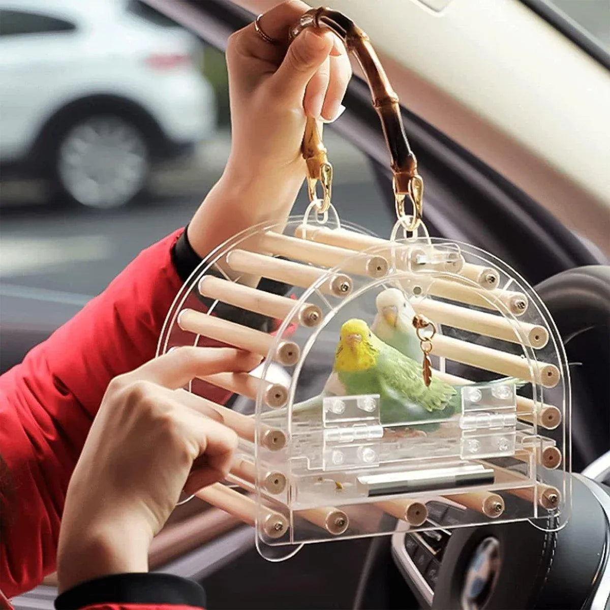 Portable Clear Acrylic Bird Travel Carrier with Perches - Small