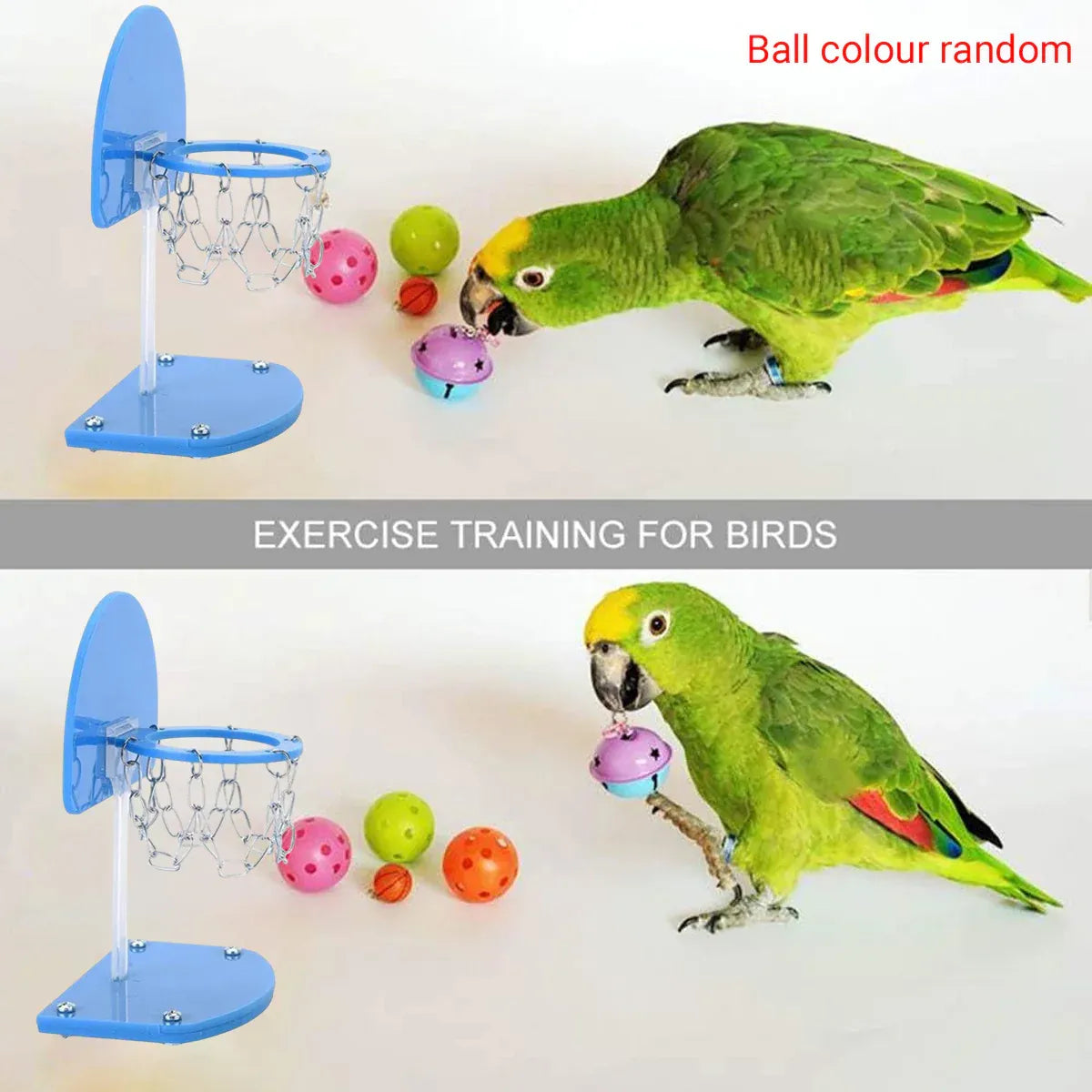 Mini Parrot Basketball Training Game - Blue, 15 cm