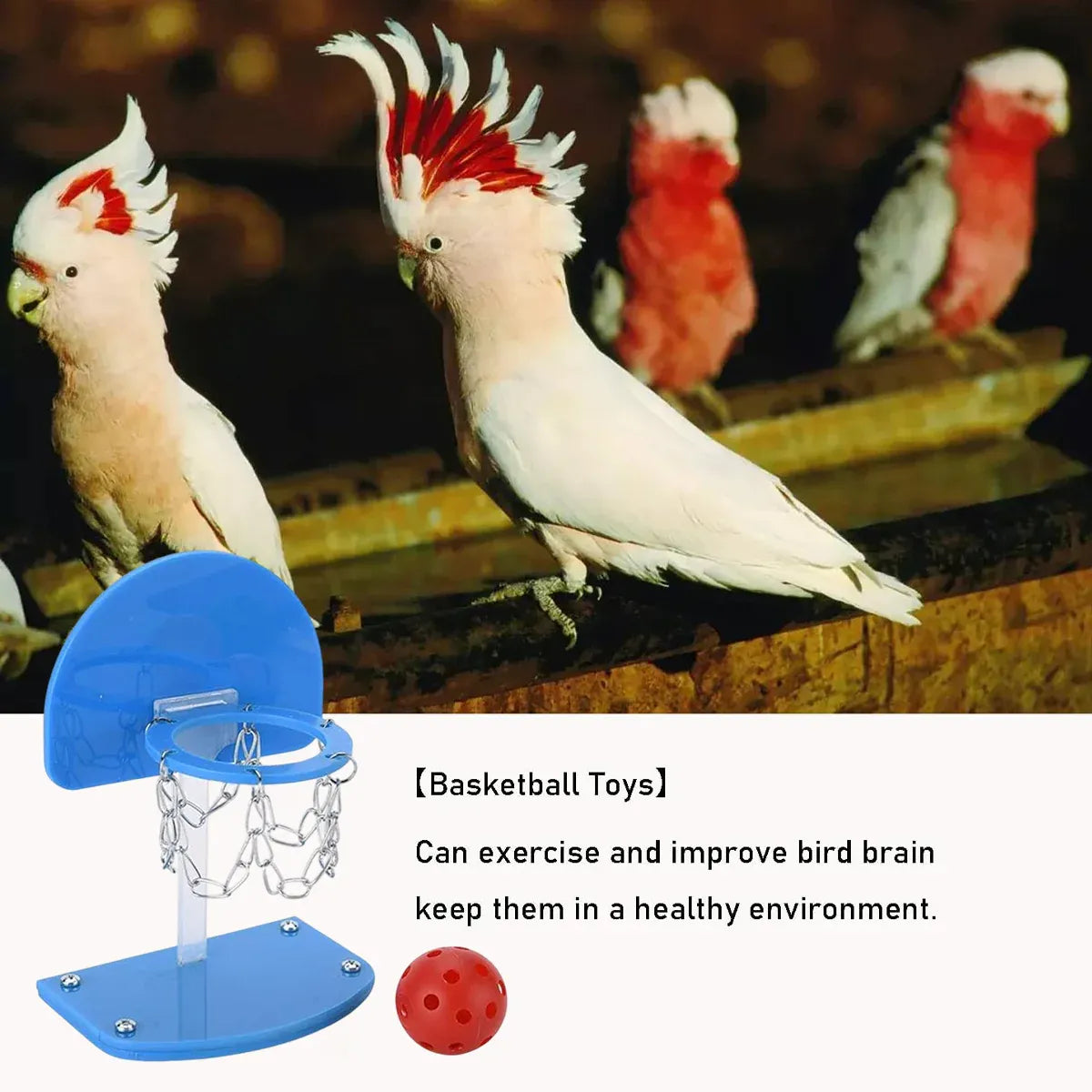 Mini Parrot Basketball Training Game - Blue, 15 cm