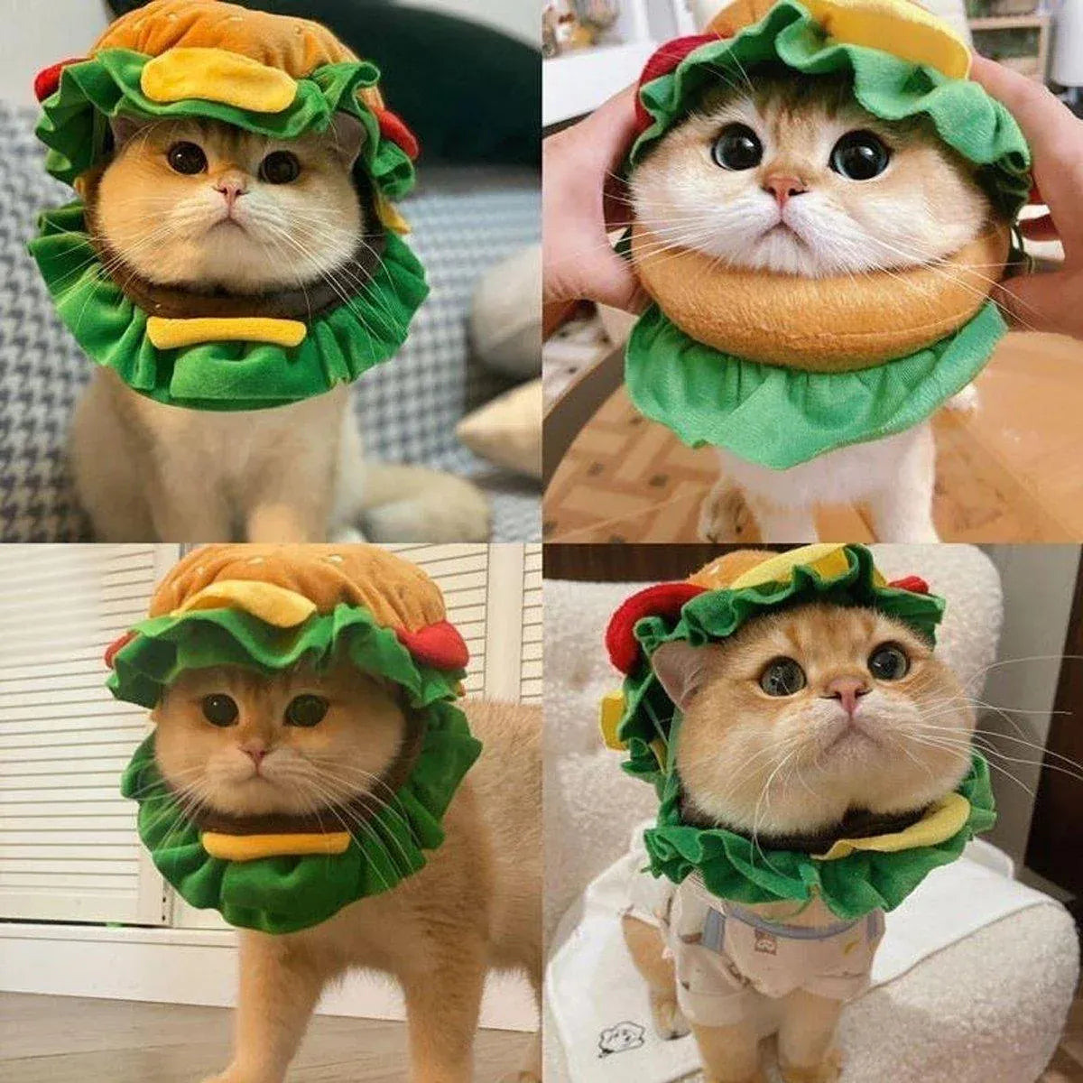 Hamburger Pet Costume Headpiece - Large – supplier product photograph 4 of 13