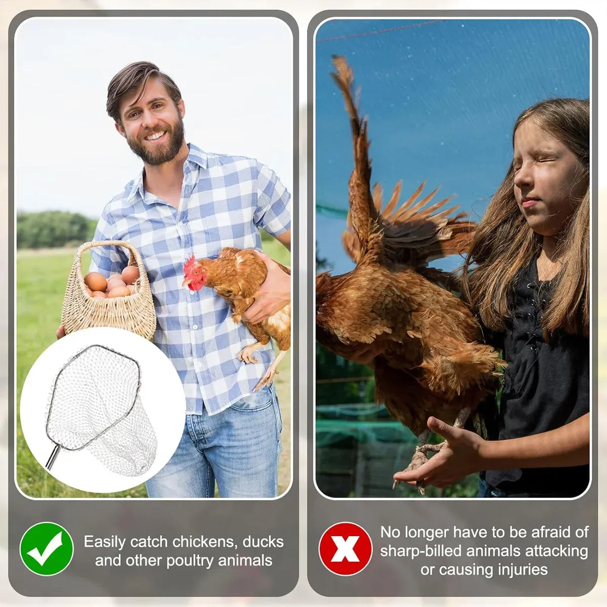 Poultry Catching Net & Hook Set for Farm Use