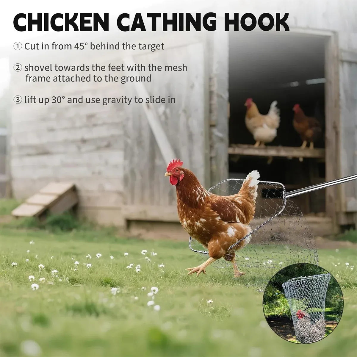 Poultry Catching Net & Hook Set for Farm Use