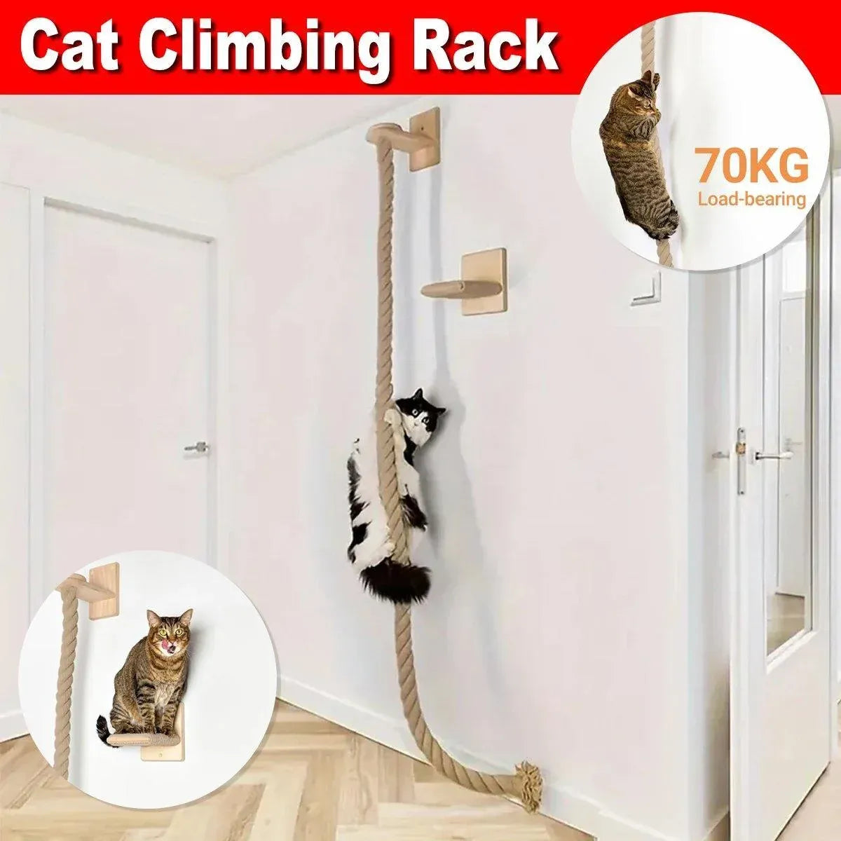 Cat Climbing Platform with Rope Play Attachment - product photo 1 of 13