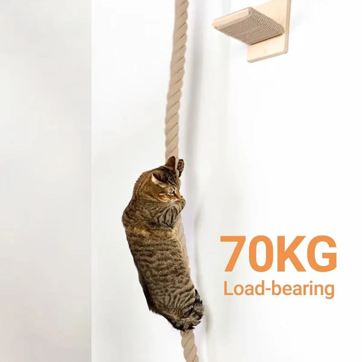 Cat Climbing Platform with Rope Play Attachment - product photo 4 of 13