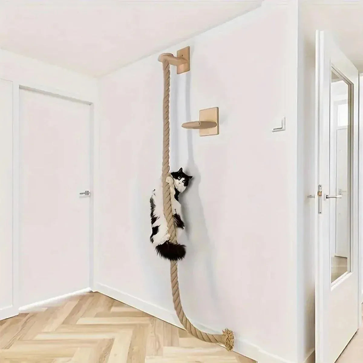 Cat Climbing Platform with Rope Play Attachment - product photo 6 of 13