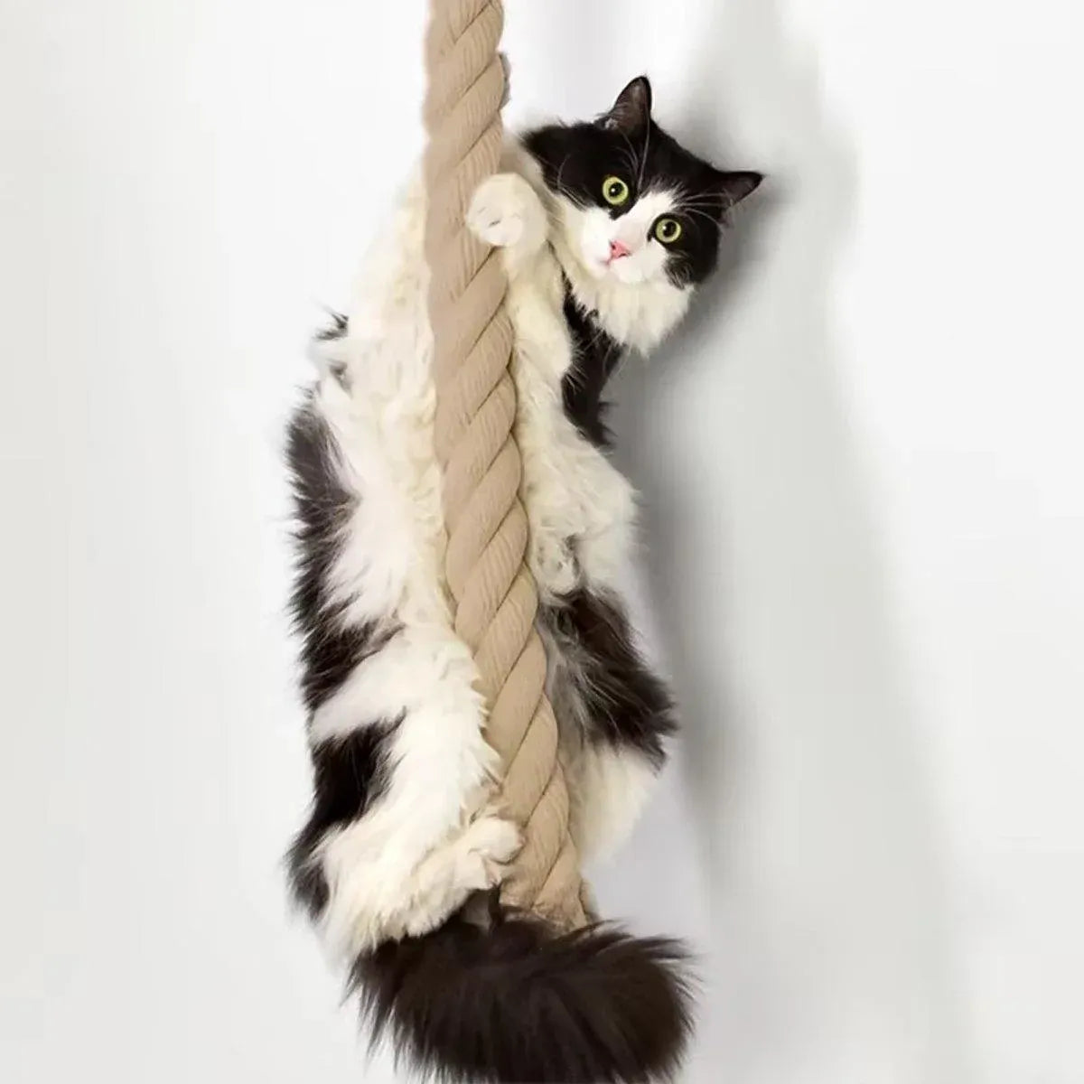 Cat Climbing Platform with Rope Play Attachment - product photo 7 of 13