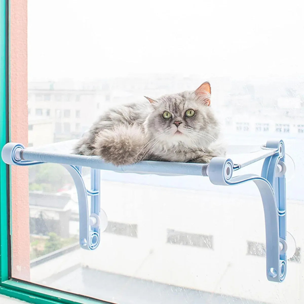 Suction-Cup Cat Window Hammock & Perch - Yellow, 55 cm