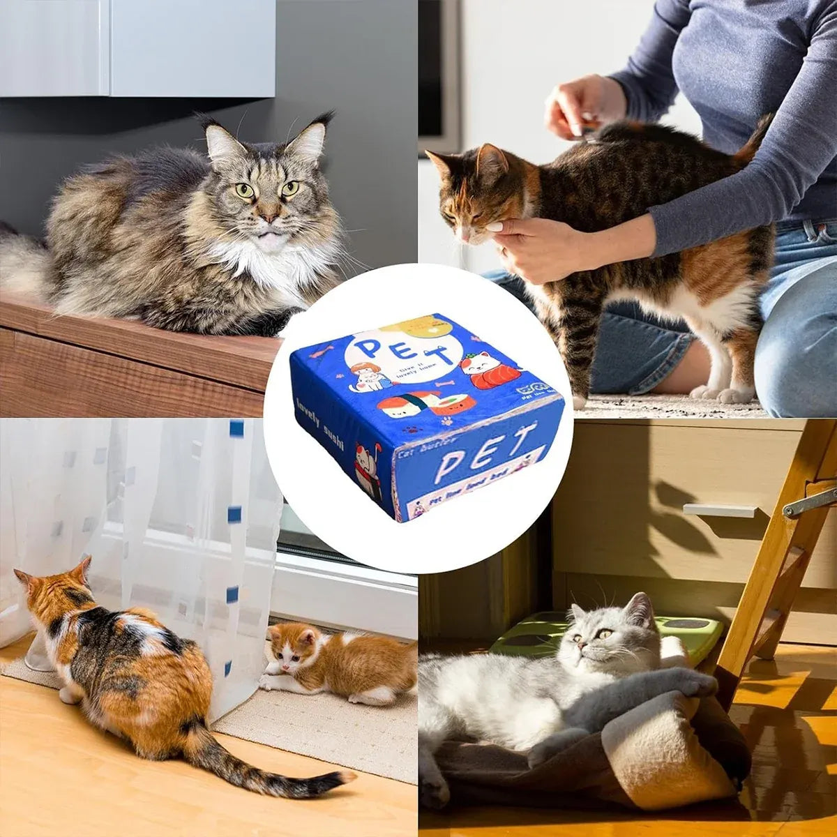 Blue Rectangular Cat & Small Dog Cave Bed, Medium, 47 × 37 × 17 cm