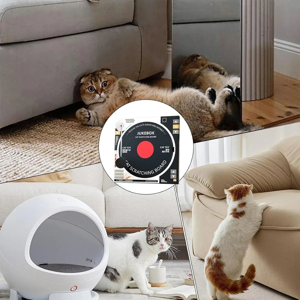 Record Player-Shaped Cardboard Cat Scratcher - product photo 7 of 14