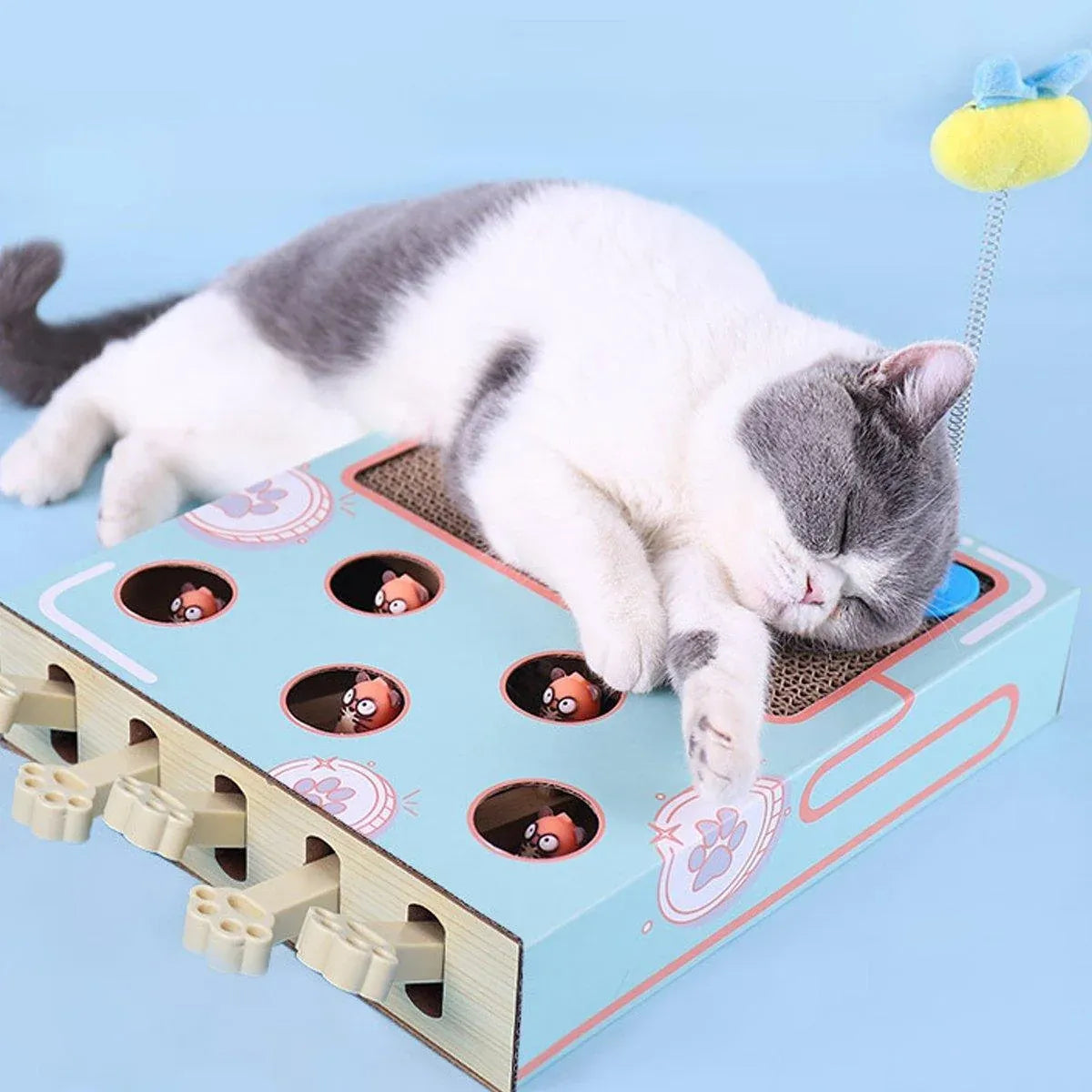 Corrugated Cardboard Cat Scratch & Play Board - product photo 5 of 12