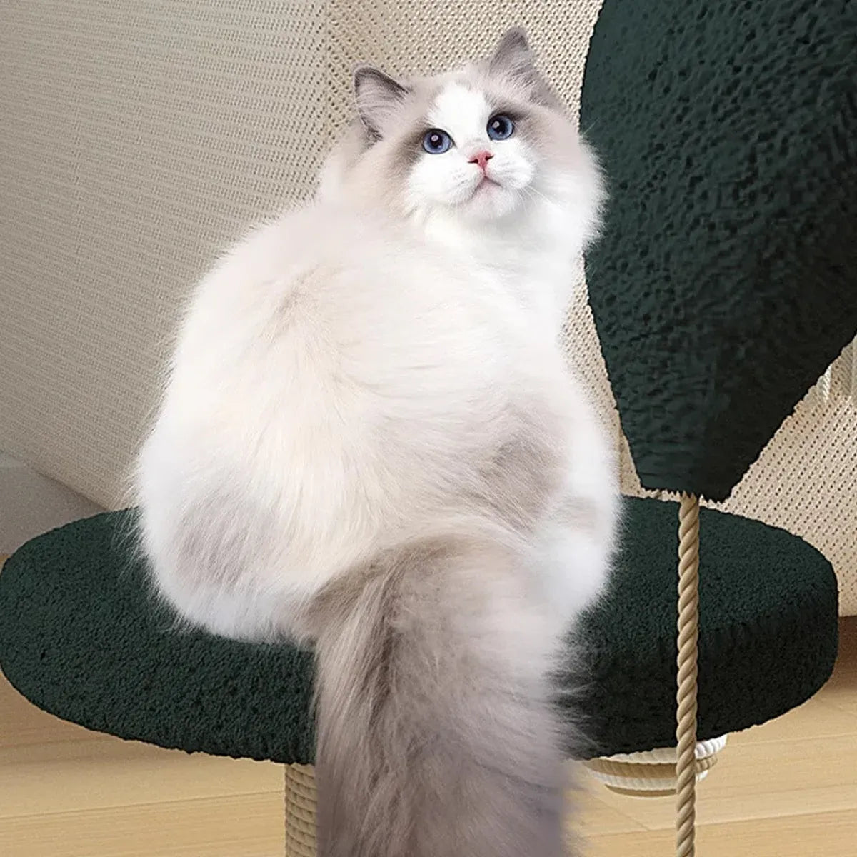 Cat Scratching Post with Ball Turntable & Teaser - 43 × 29 × 50 cm