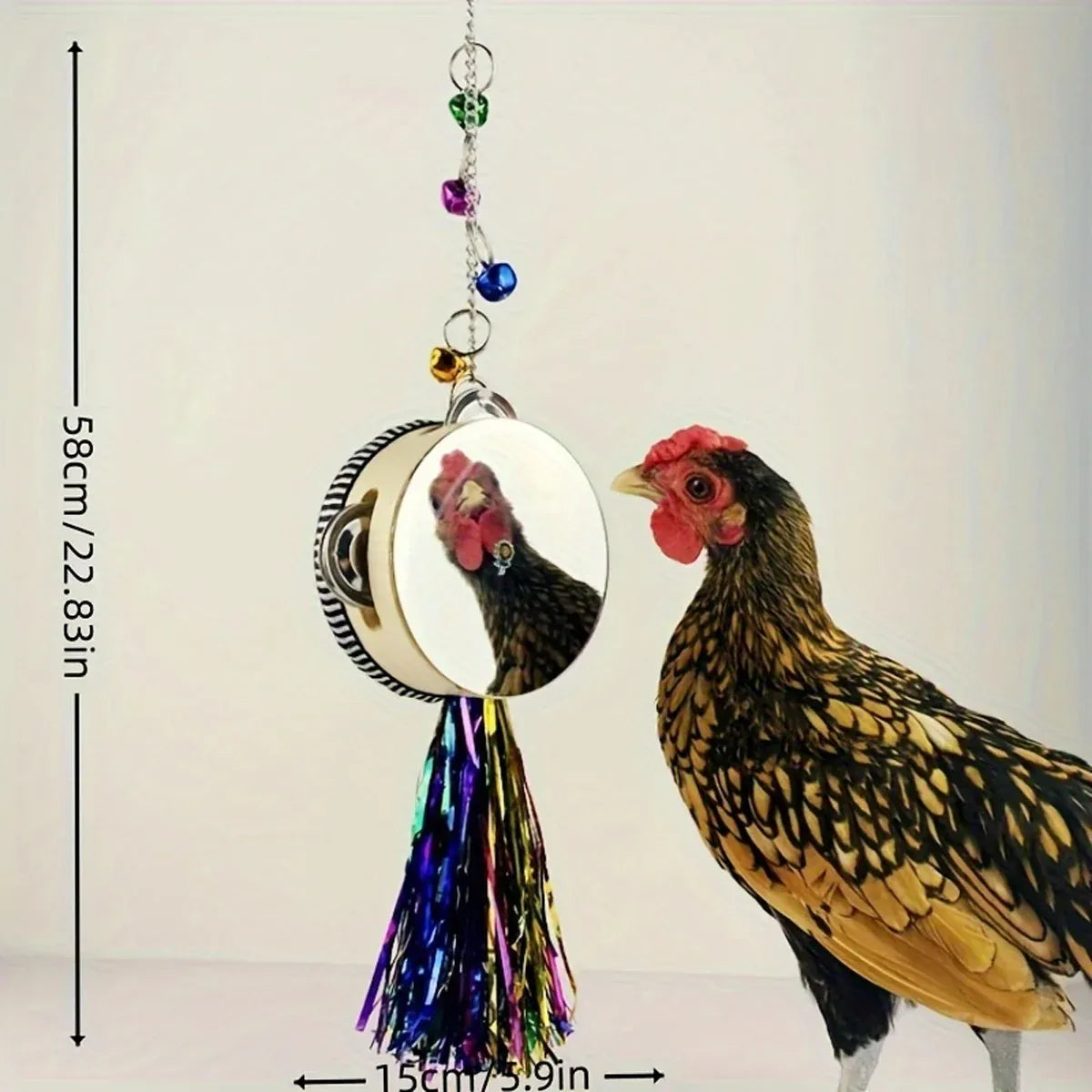 Hanging Chicken Mirror & Pecking Drum Enrichment Toy - 58 cm