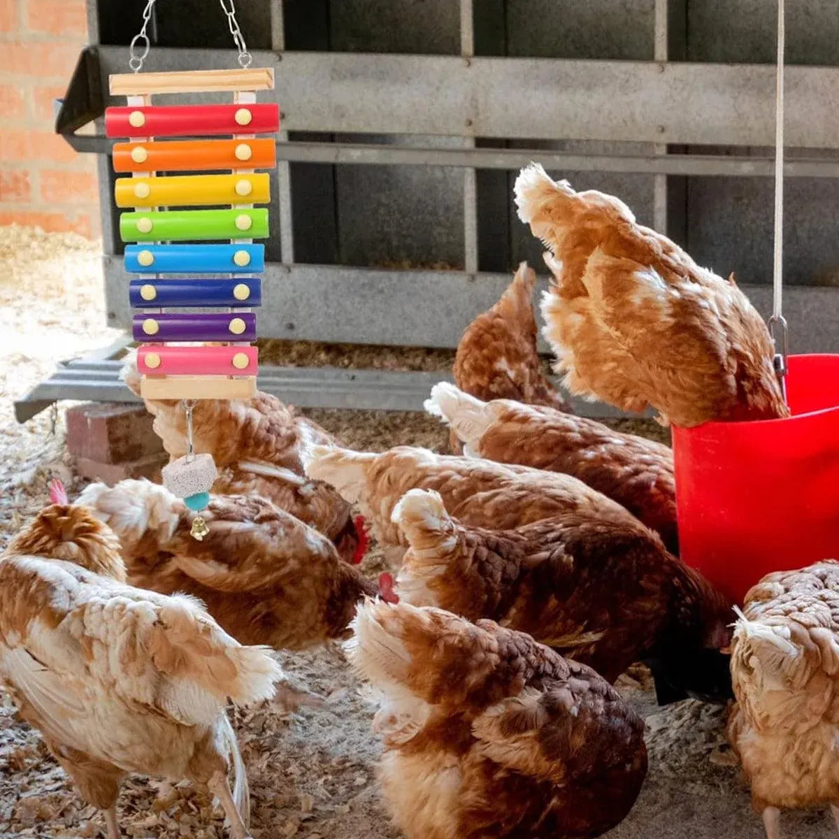 Chicken & Poultry Activity Set with Swing, Ladder & Xylophone - 5 Pieces