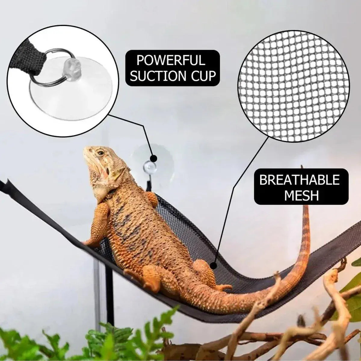 Reptile Mesh Basking Hammock Set, 2-Pack - Black, Small
