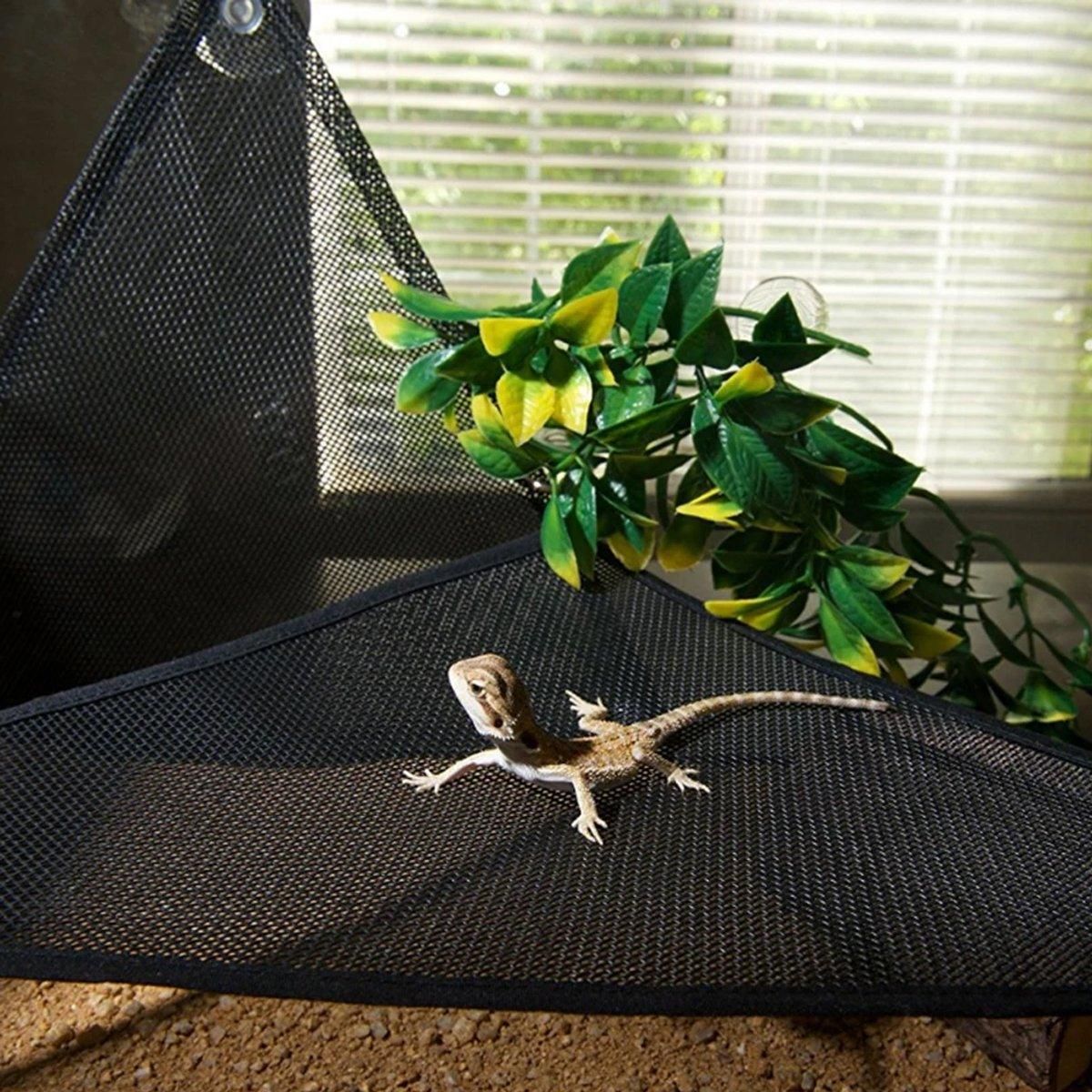Reptile Mesh Basking Hammock Set, 2-Pack - Black, Small
