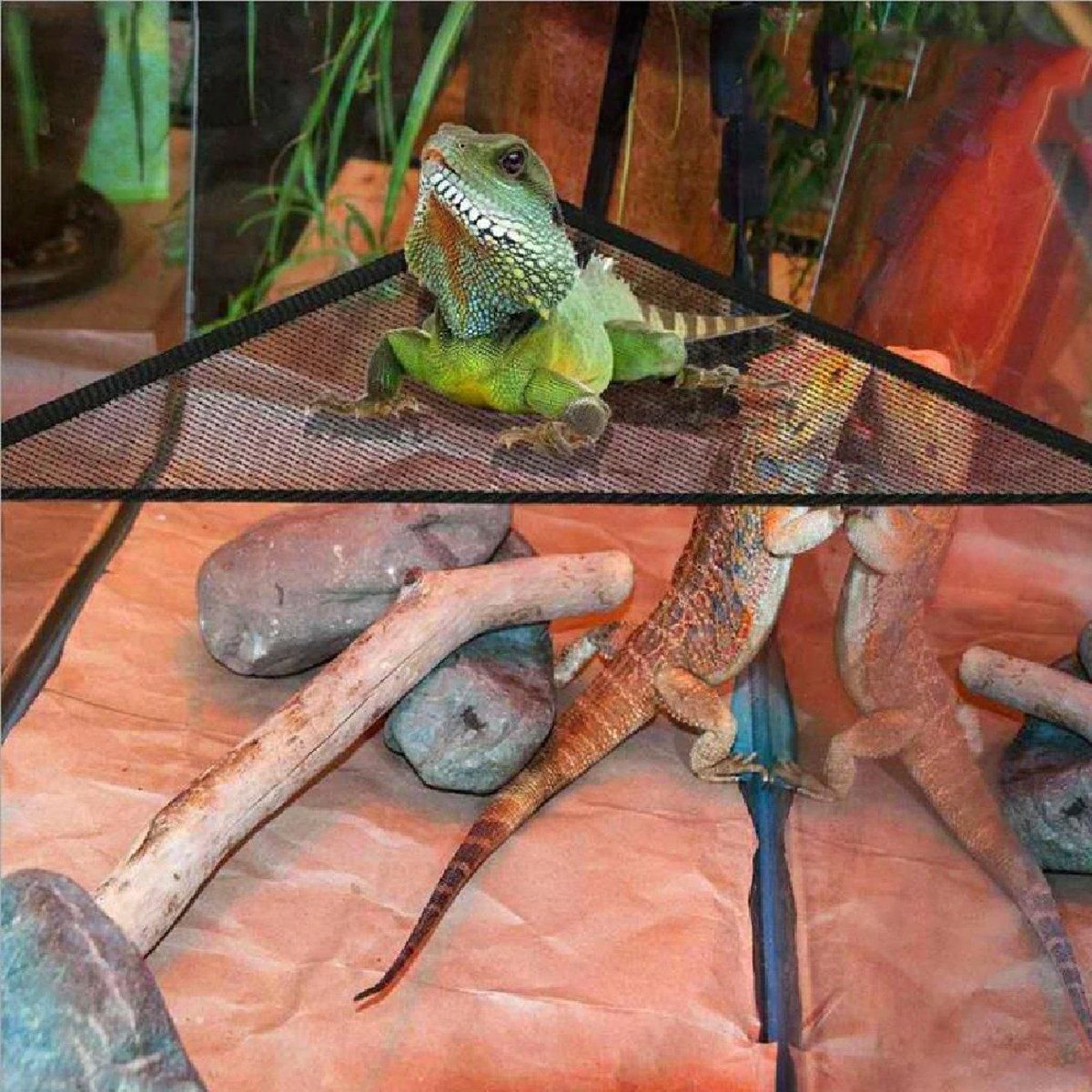 Reptile Mesh Basking Hammock Set, 2-Pack - Black, Small