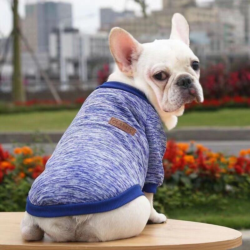 Blue Knitted Dog Sweater – Size L – supplier product photograph 5 of 14