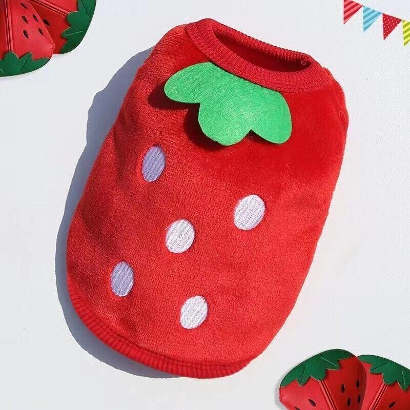Fleece Pet Winter Jumper - Small, Red Strawberry