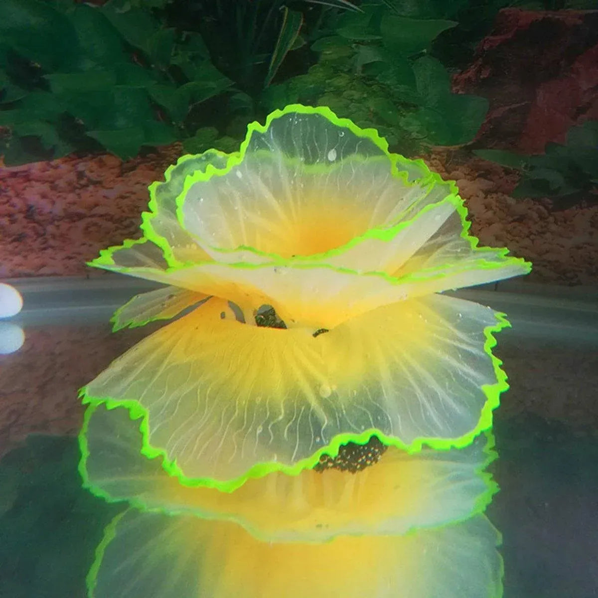 Silicone Lettuce Coral Aquarium Ornament – Blue, 9 × 7.5 cm
