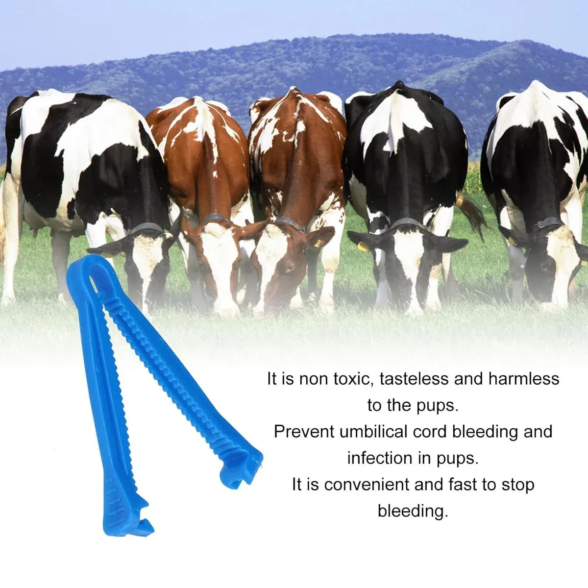 Disposable Livestock Umbilical Cord Clamps - Blue, 100 Pack