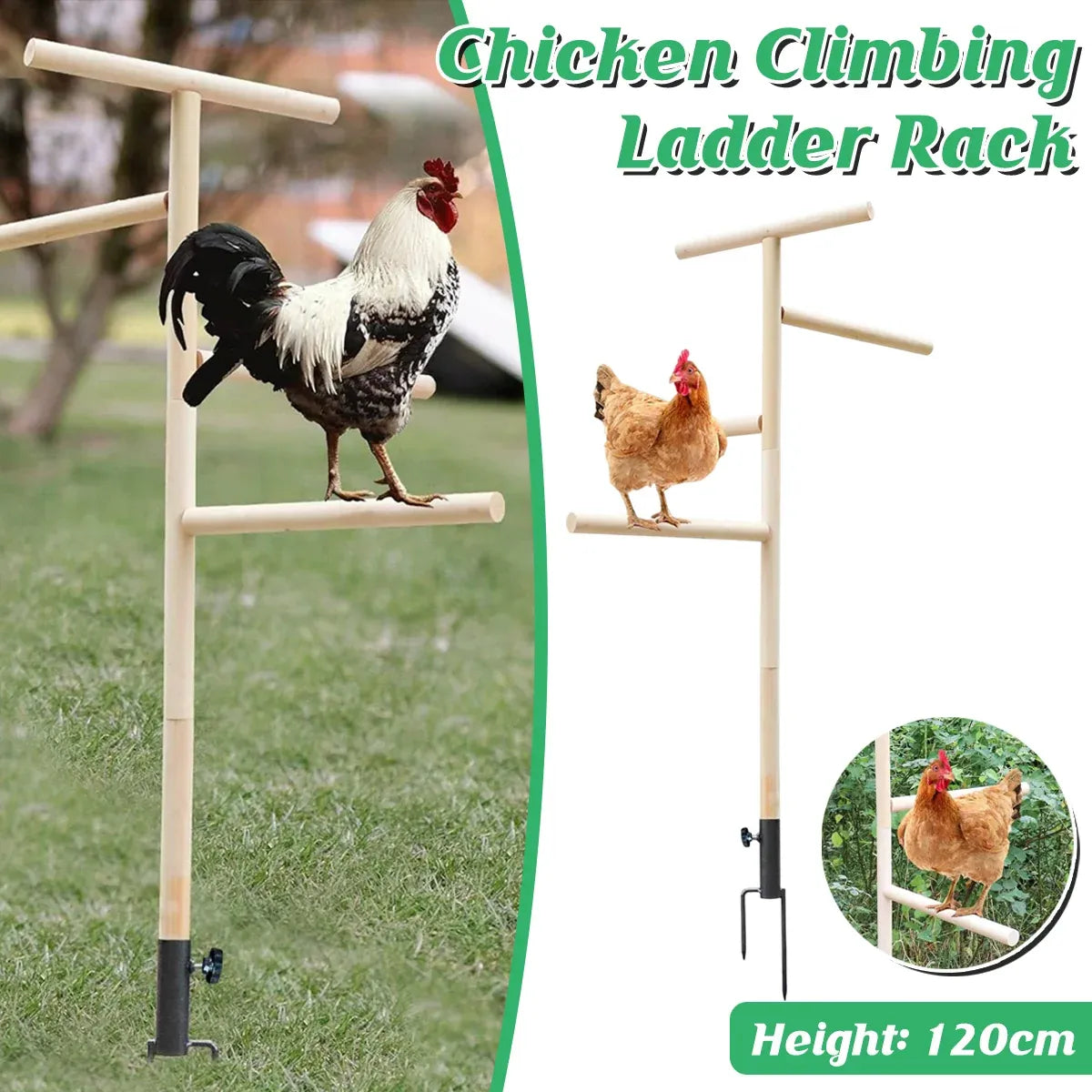 Chicken Climbing & Roosting Ladder Rack - 134 cm