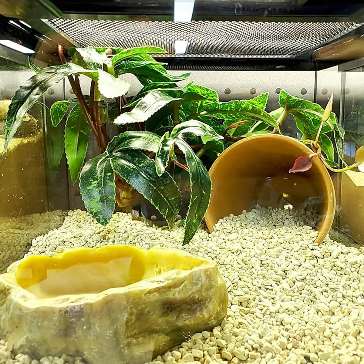 Artificial Green Foliage for Terrariums & Pet Enclosures - product photo 5 of 15