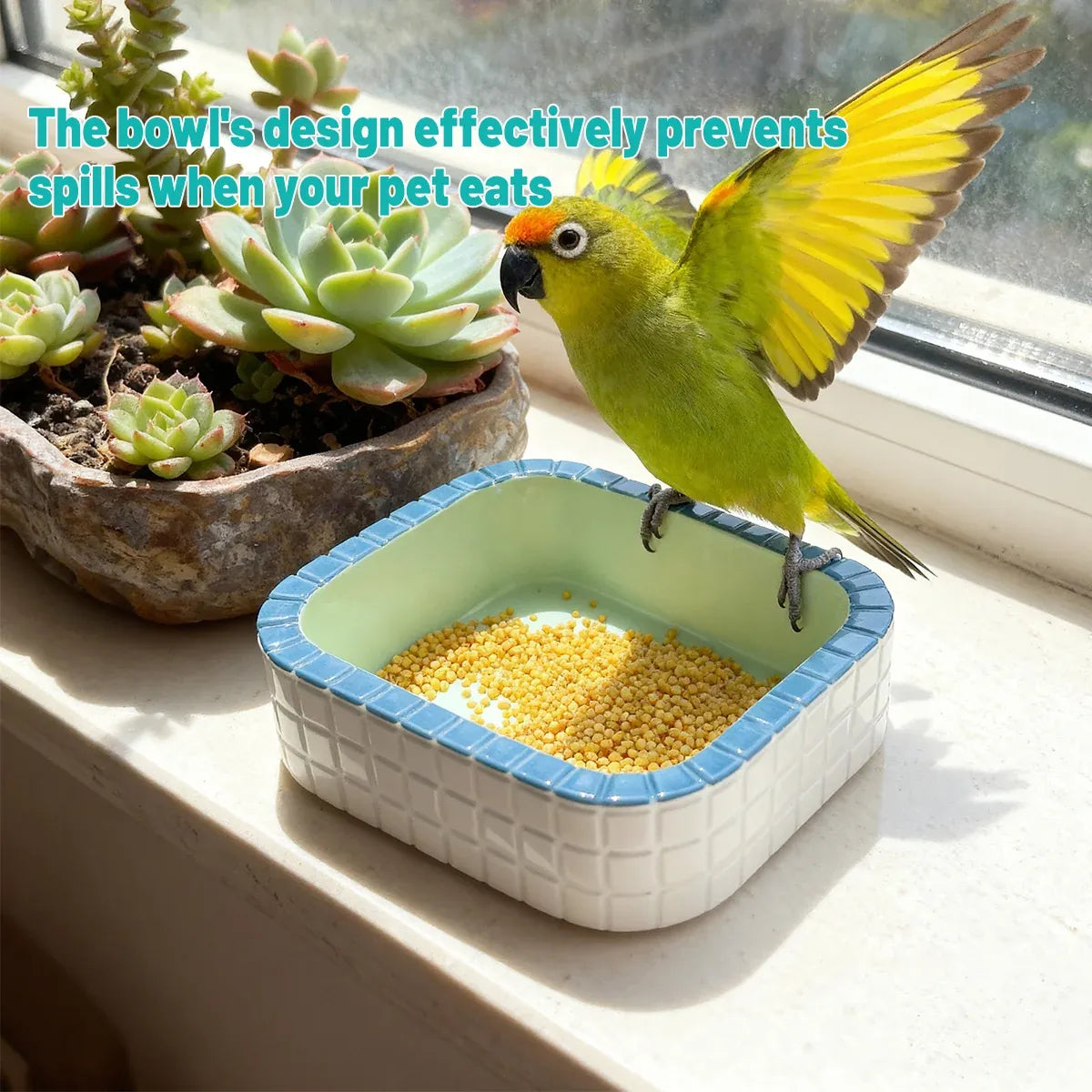 Small Animal & Bird Feeding Bowl with Non-Slip Base