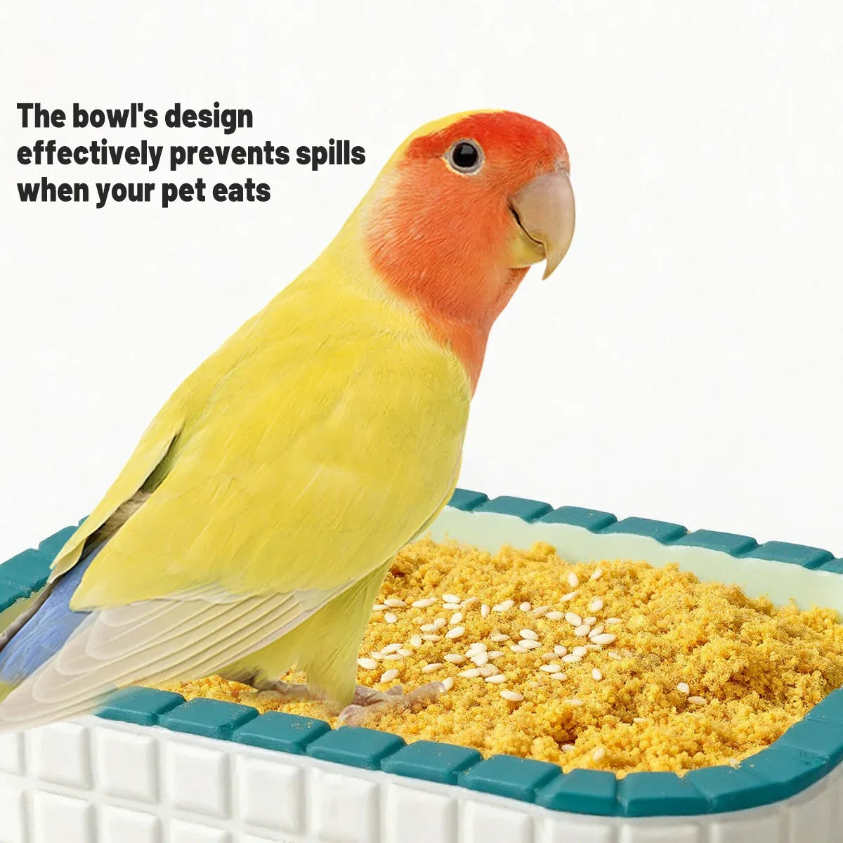 Small Animal & Bird Feeding Bowl with Non-Slip Base