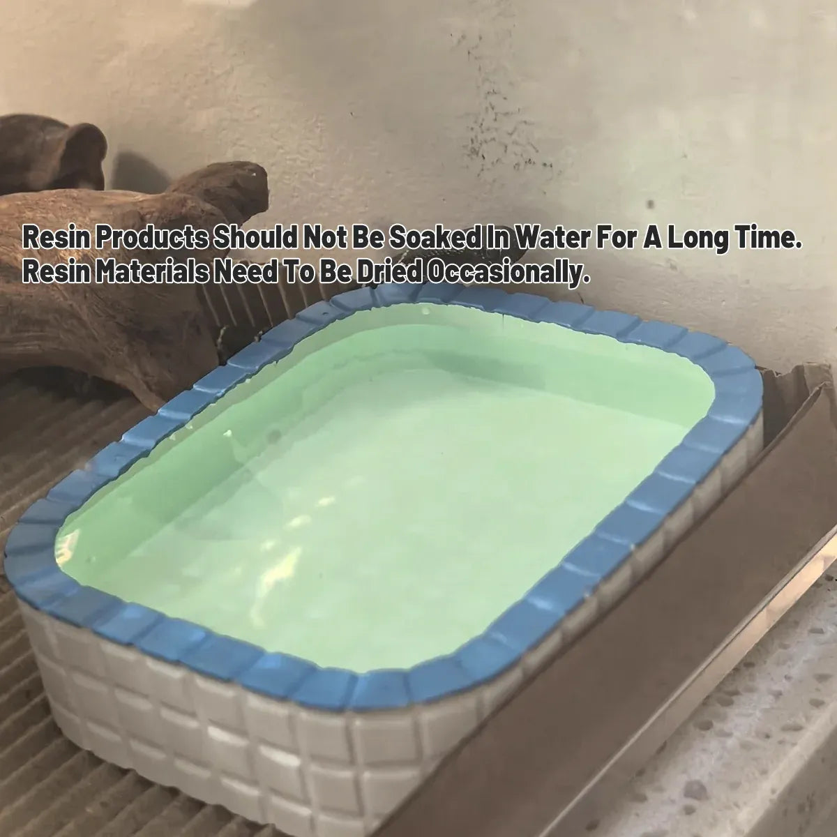 Small Animal & Bird Feeding Bowl with Non-Slip Base