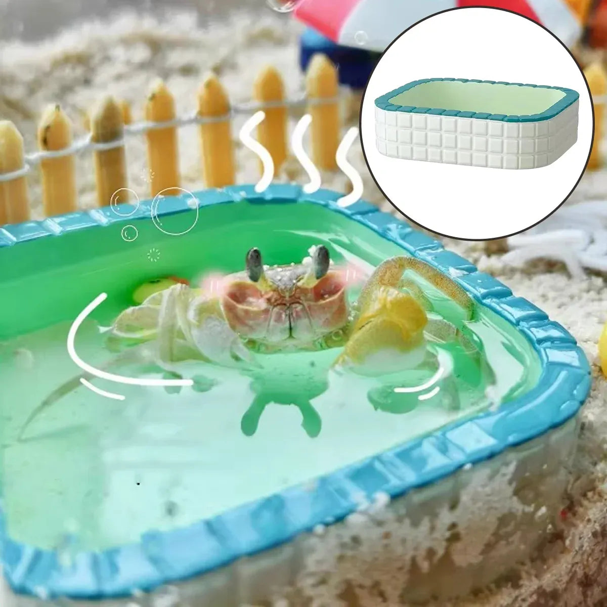 Small Animal & Bird Feeding Bowl with Non-Slip Base