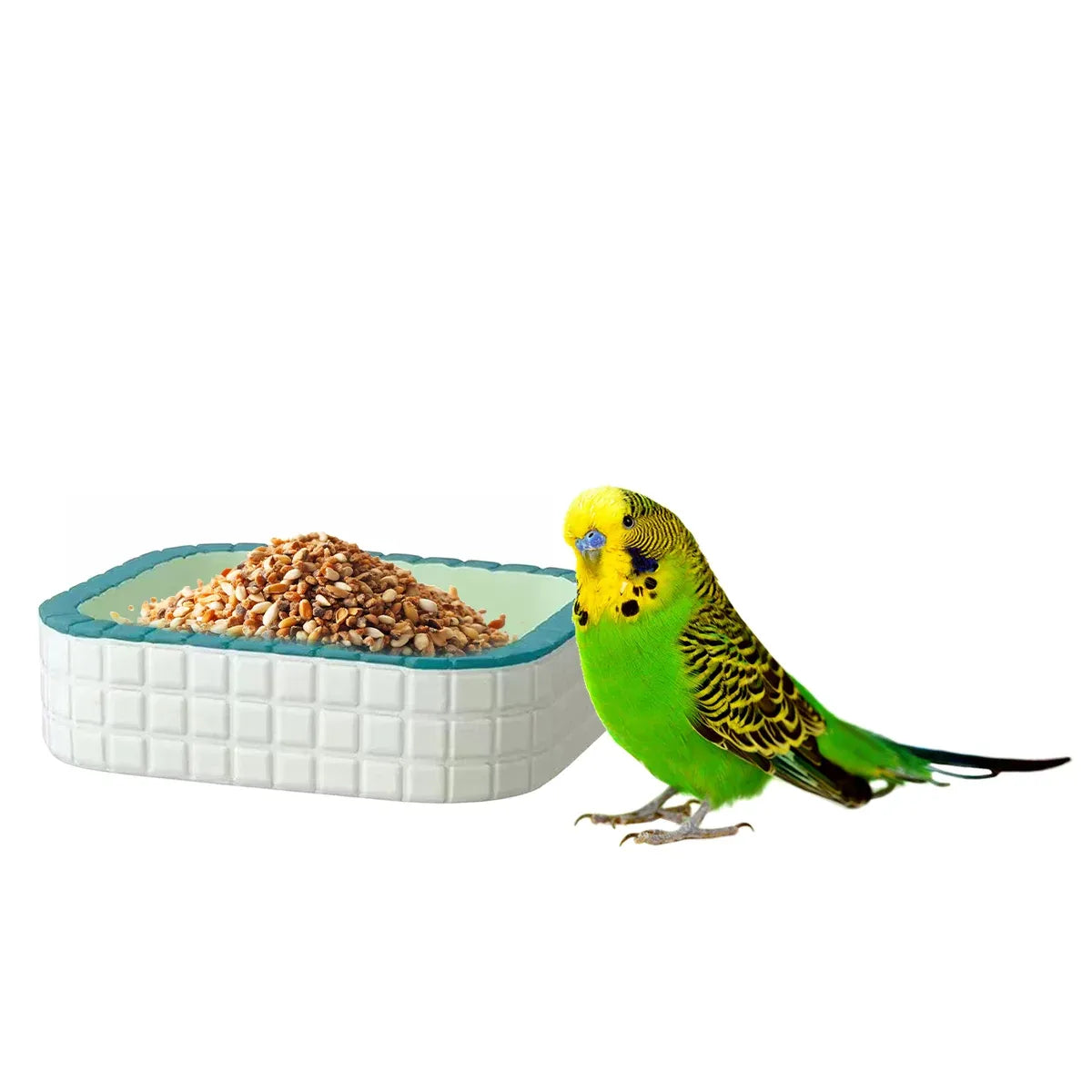 Small Animal & Bird Feeding Bowl with Non-Slip Base