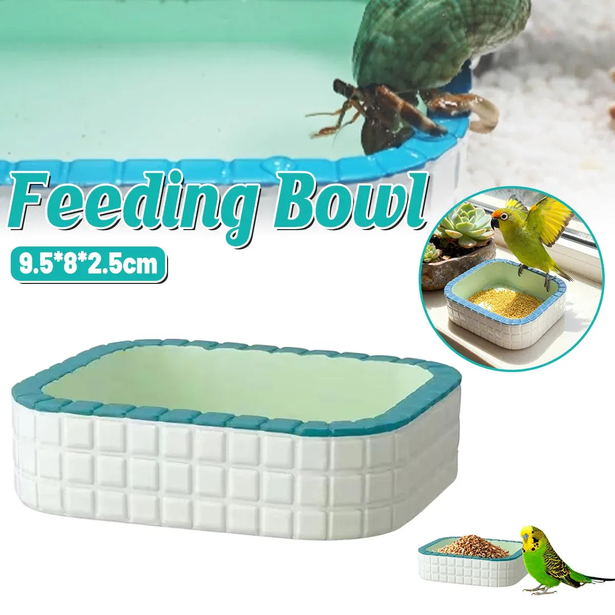 Small Animal & Bird Feeding Bowl with Non-Slip Base
