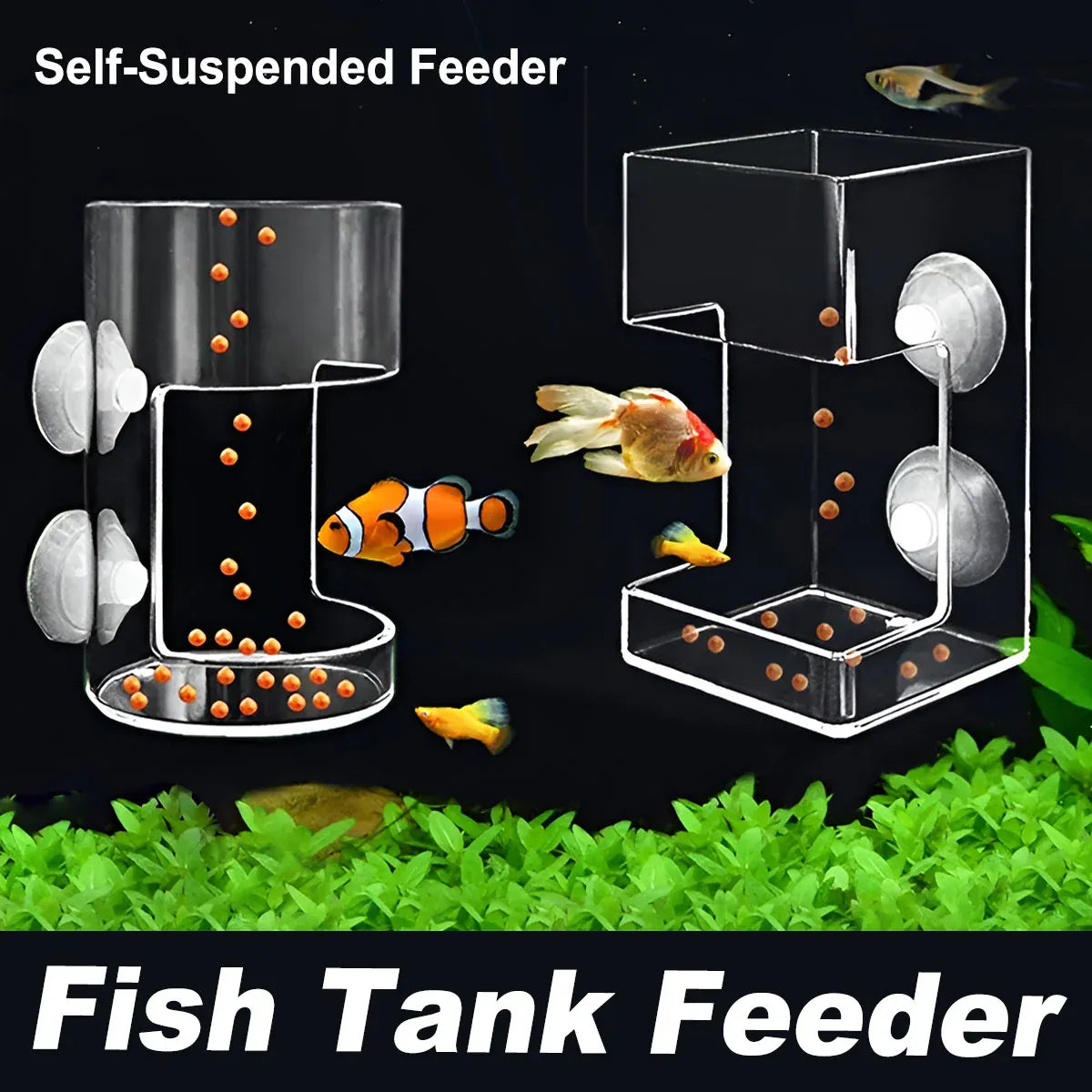 Floating Aquarium Fish Feeding Ring - Square, 6 cm