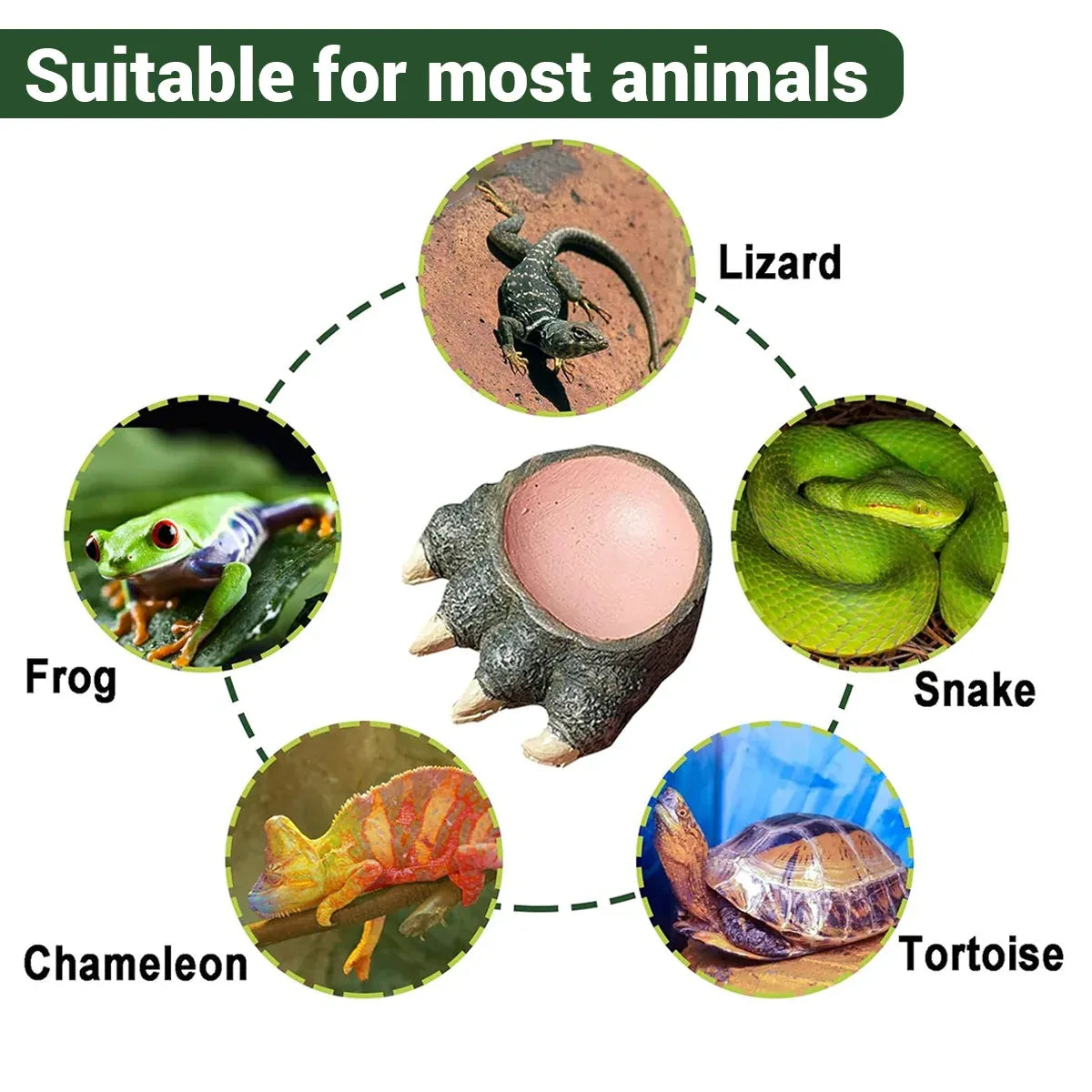 Claw-Shape Resin Reptile Food & Water Dish