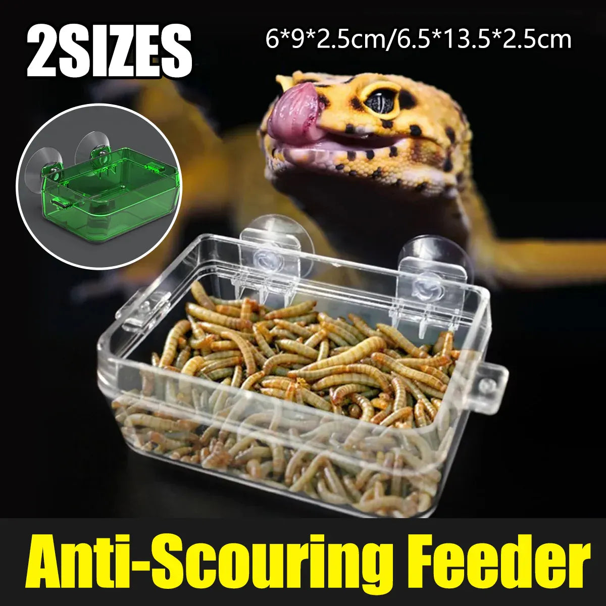 Suction-Mount Reptile Insect Feeding Dish - Green, Small, 9 × 6 × 2.5 cm