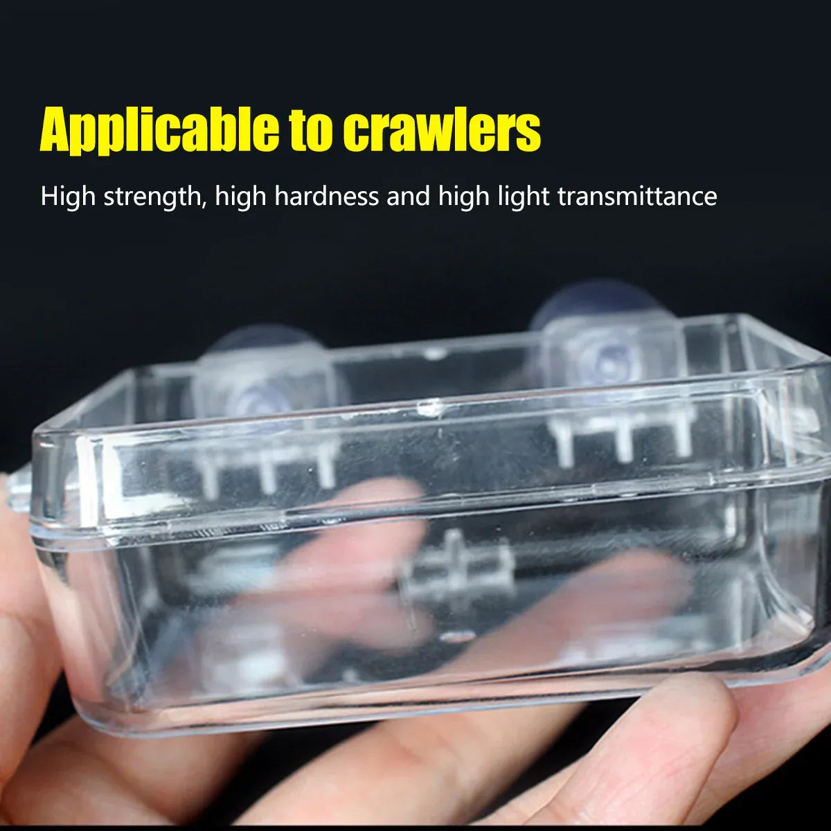 Suction-Mount Reptile Insect Feeding Dish - Transparent, Small, 9 × 6 × 2.5 cm