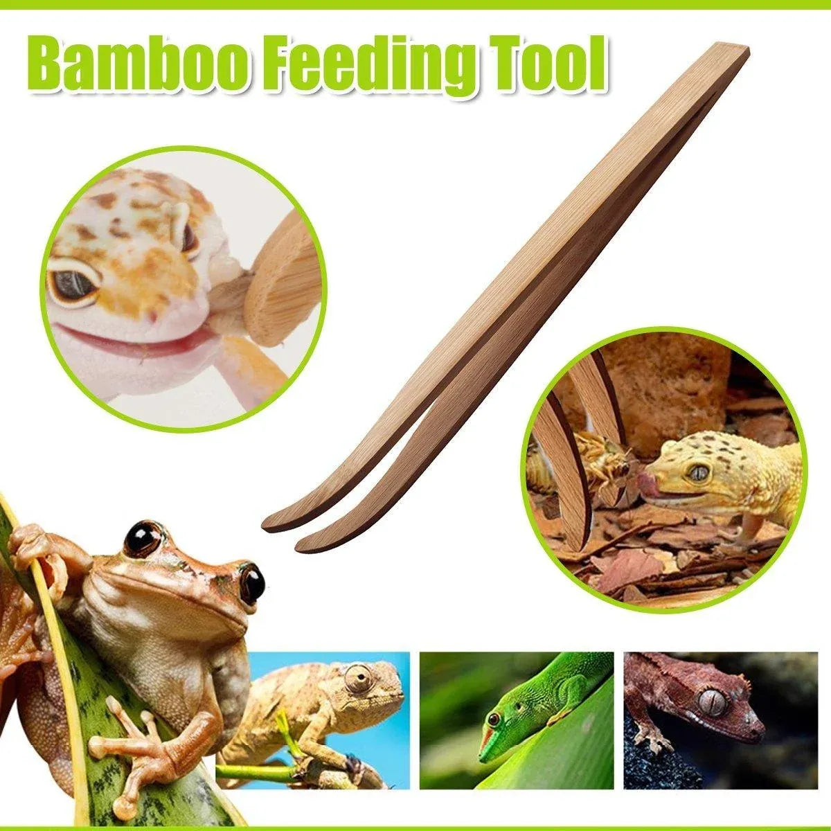 Curved Reptile Feeding Tweezers - 16.5 cm, Single