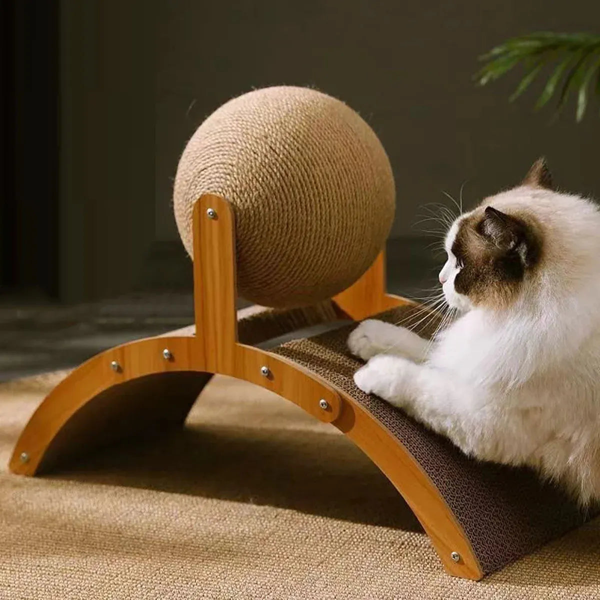 Arched Cat Scratching Bridge with Sisal Ball - 55 cm