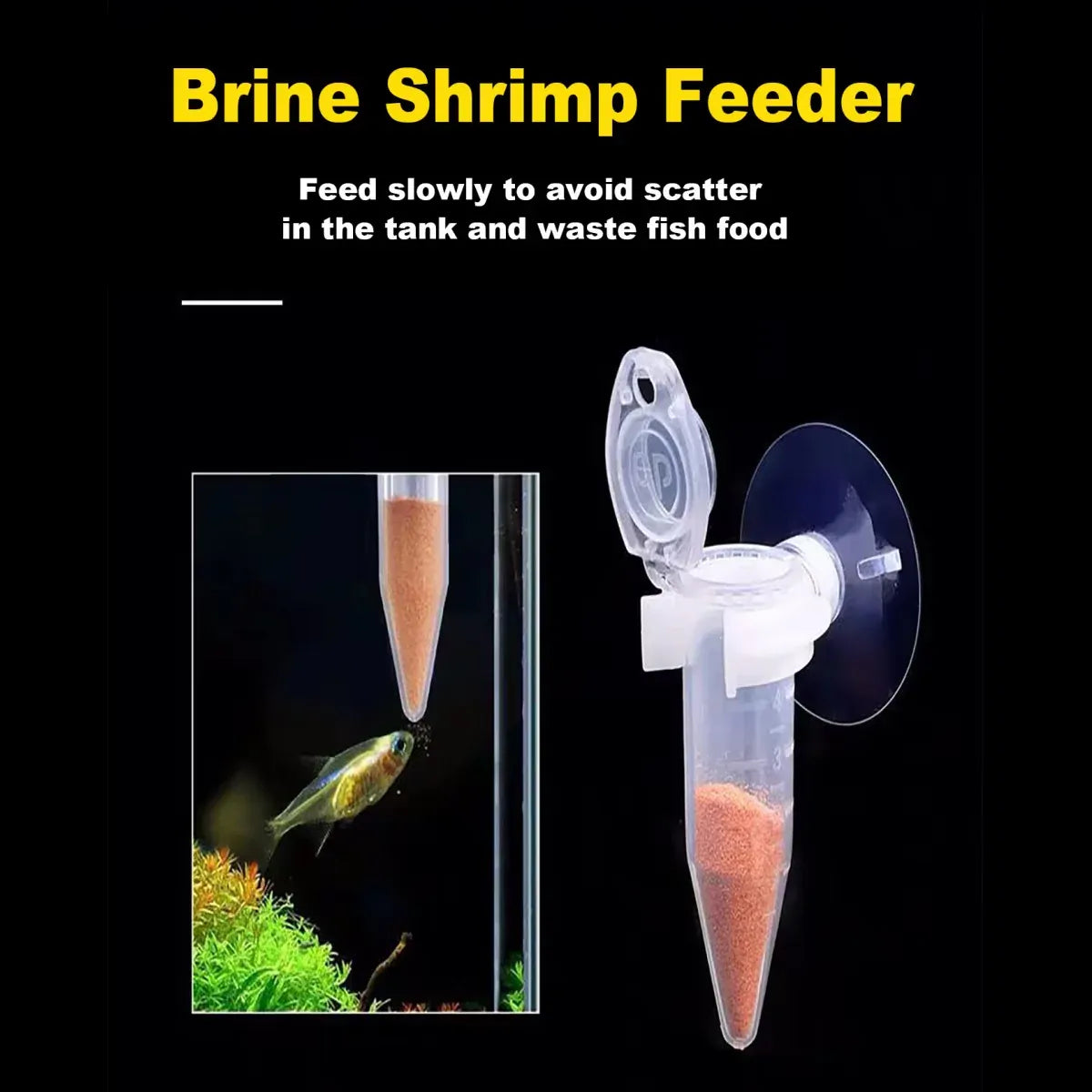 Suction-Mount Brine Shrimp Feeding Cups - 10-Pack, 6 cm