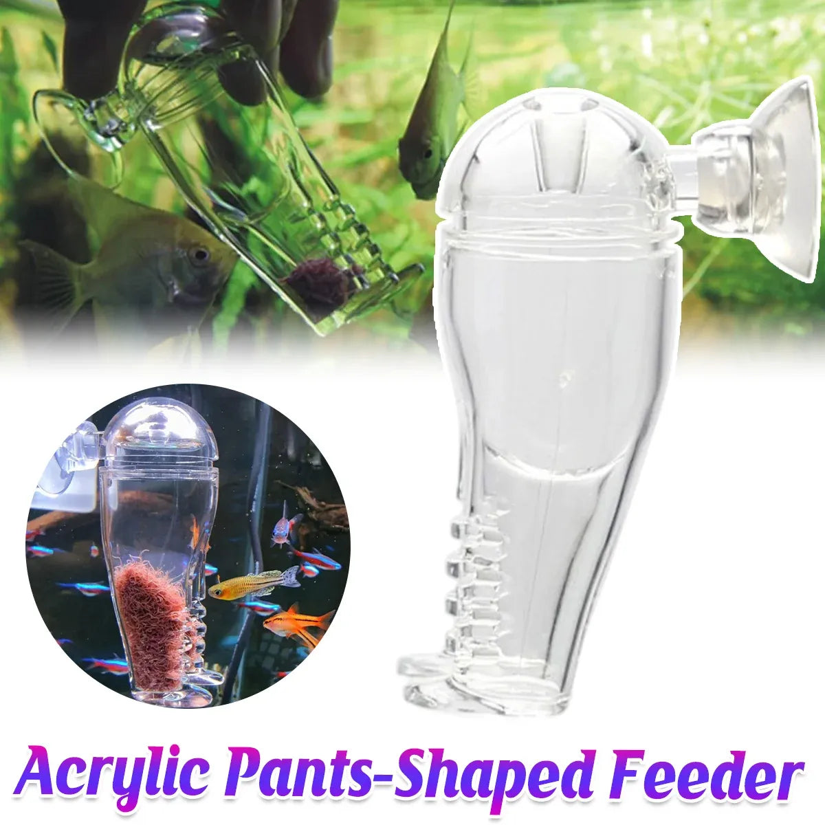 Clear Acrylic Aquarium Feeding Tray - product photo 1 of 12