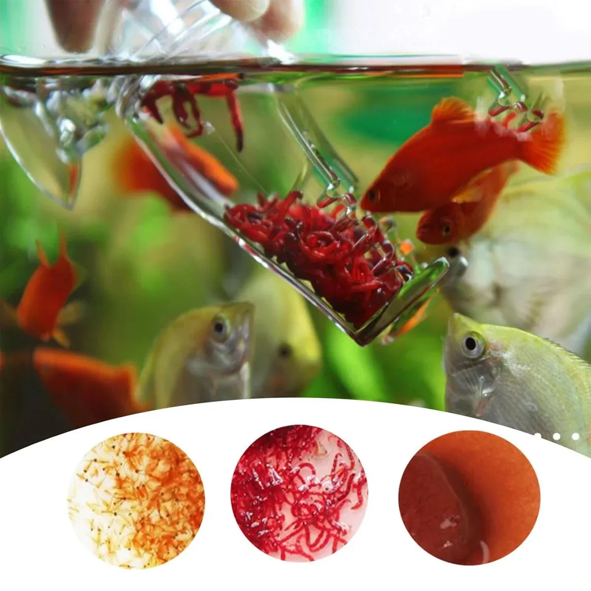 Clear Acrylic Aquarium Feeding Tray - product photo 5 of 12