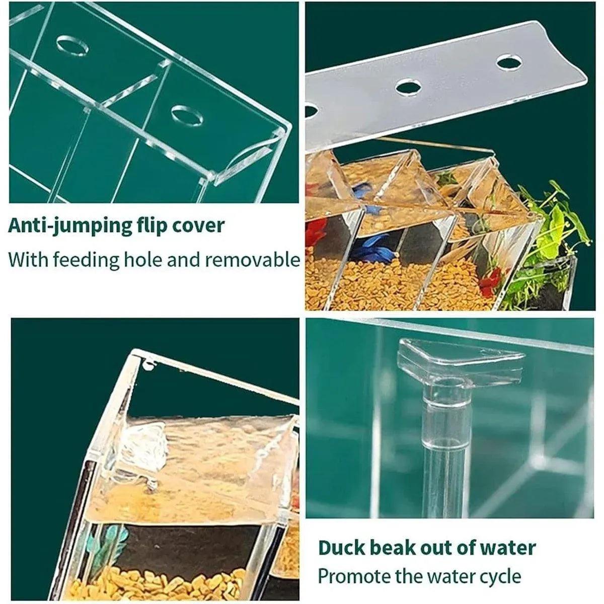 Desktop Acrylic Multi-Compartment Aquarium with 2.5 W Pump - 38 cm