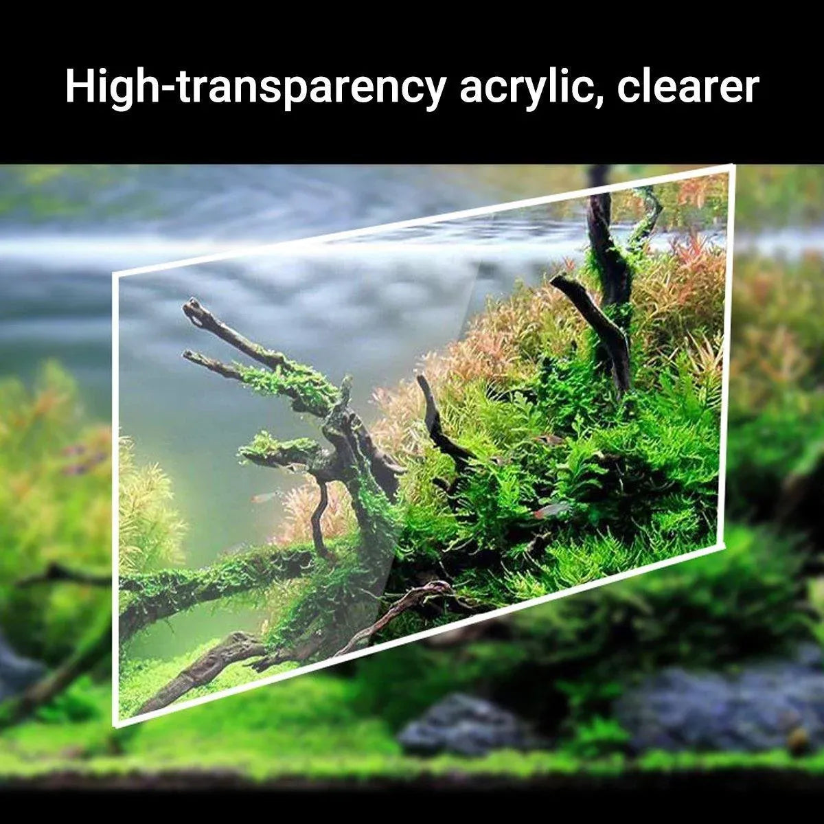 Desktop Acrylic Multi-Compartment Aquarium with 2.5 W Pump - 38 cm