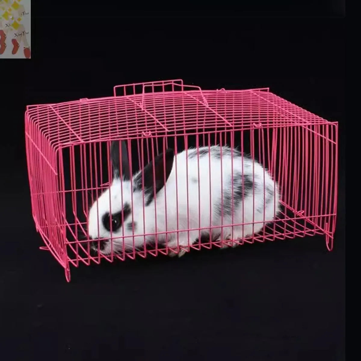 Foldable Wire Small-Pet Transport Cages – 4 Pack, Blue & Pink