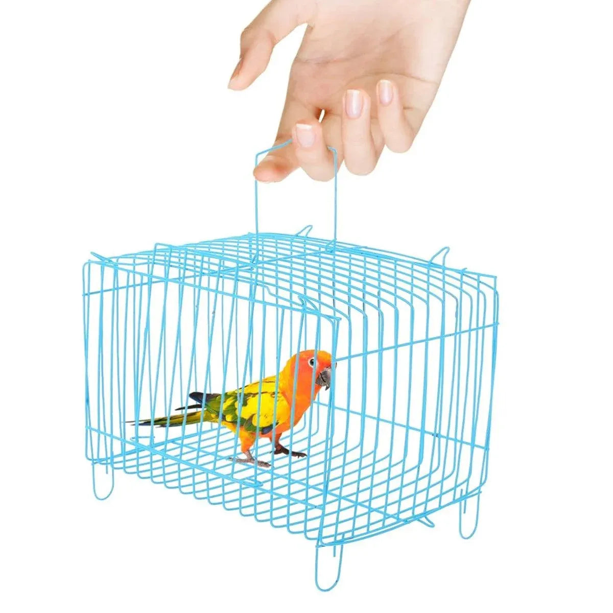 Foldable Wire Small-Pet Transport Cages – 4 Pack, Blue & Pink