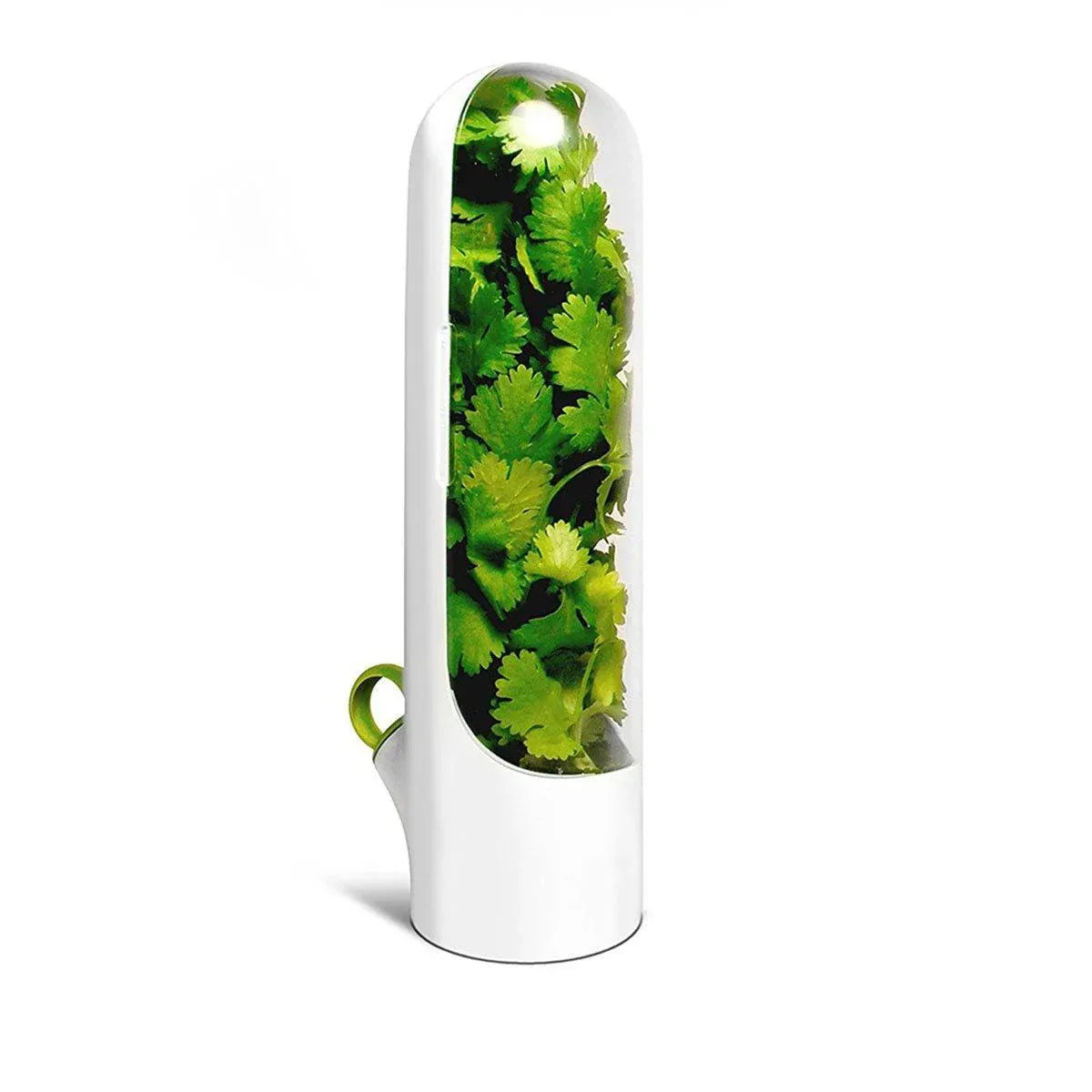 2pcs Fresh Box Vegetable Crisper Fridge Storage Container for Kitchen Use — product image 12
